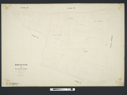 Section T