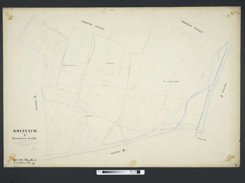 Section V