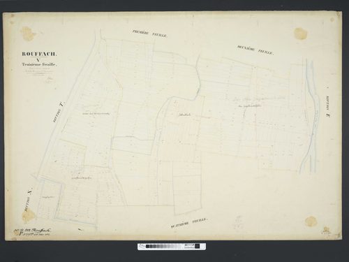 Section V