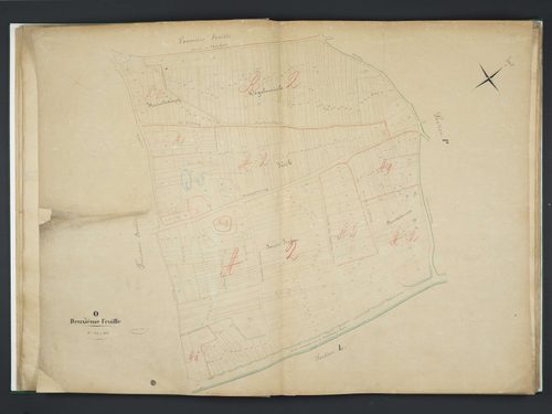 Section O