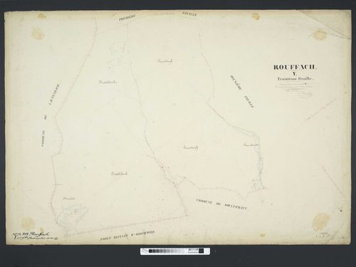 Section Y