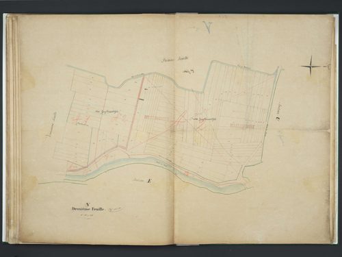 Section V