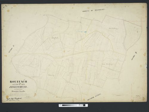 Section P