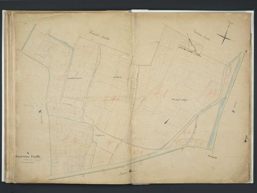 Section V