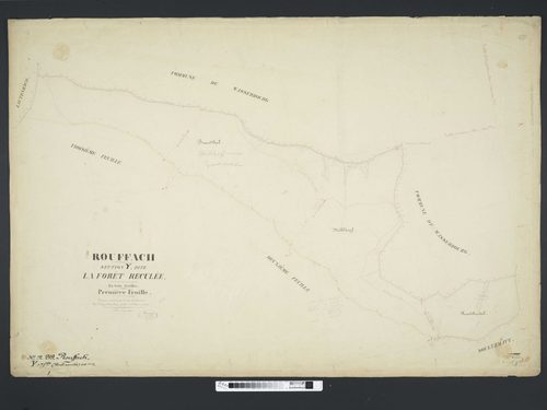 Section Y