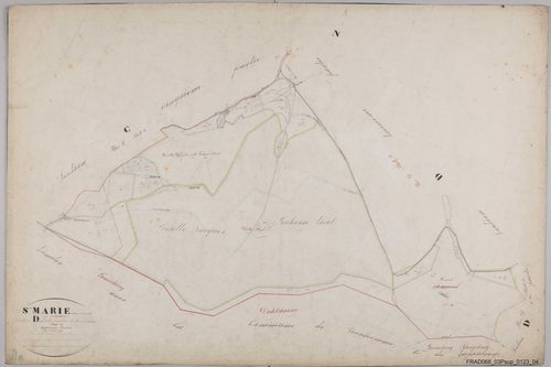 Section D