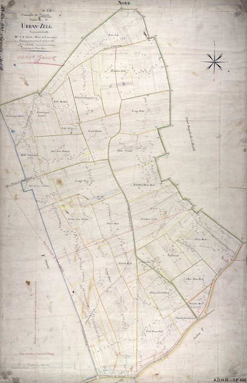 Section B