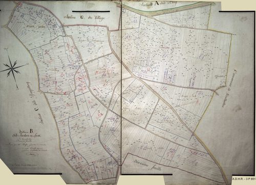 Section B