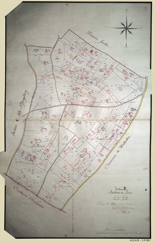 Section B