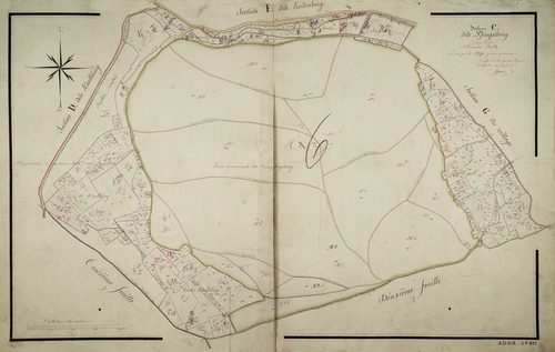 Section C