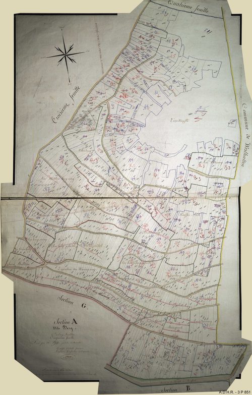 Section A