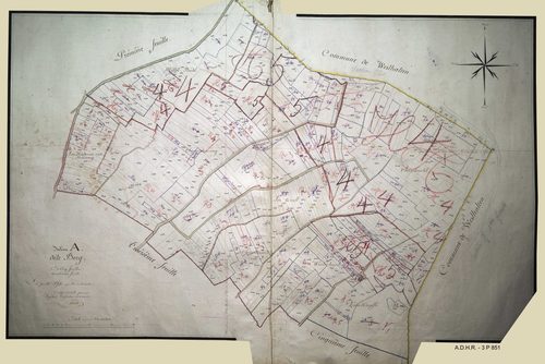 Section A