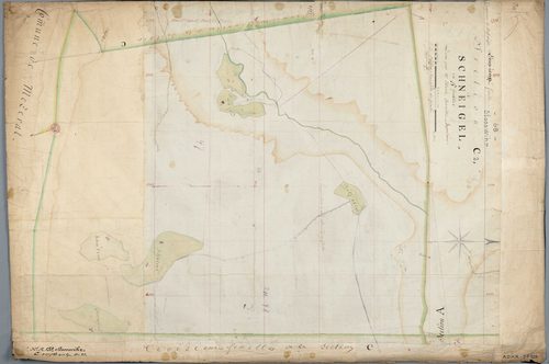 Section C