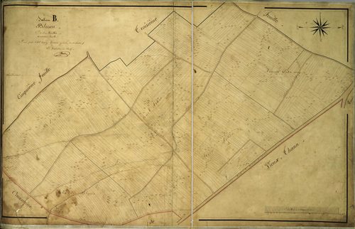 Section B