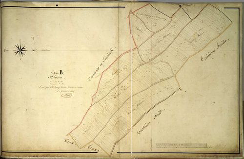 Section B