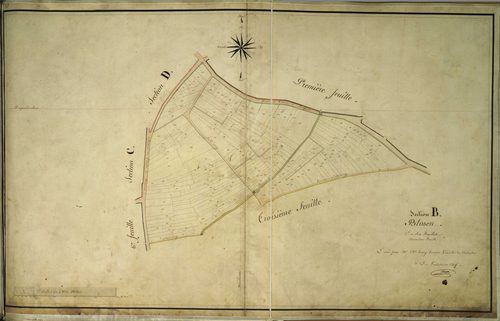 Section B