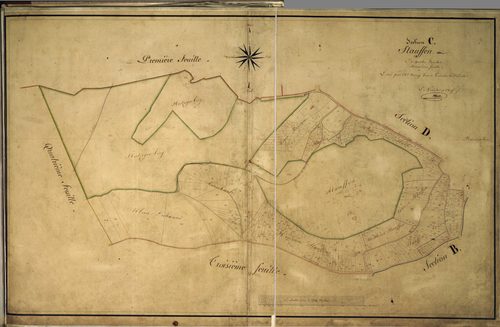 Section C