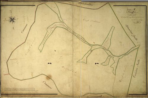 Section C