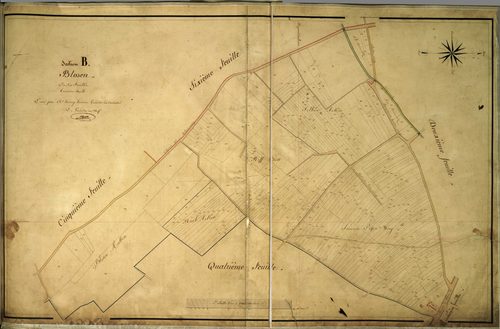 Section B
