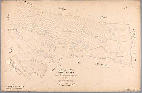 Section C