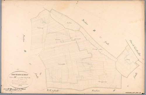 Section B