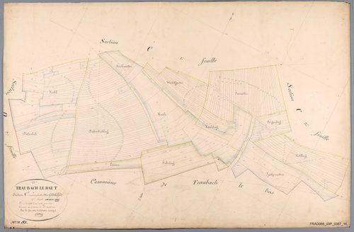 Section C