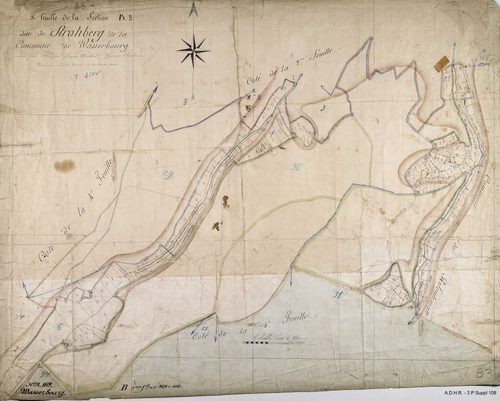 Section B