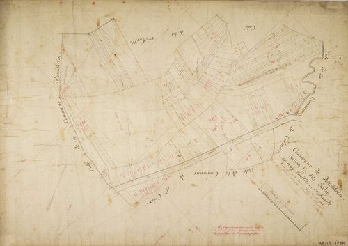 Section C