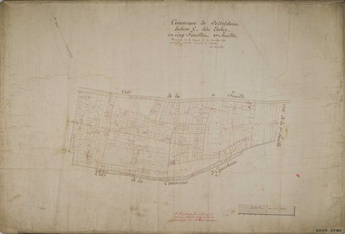 Section C