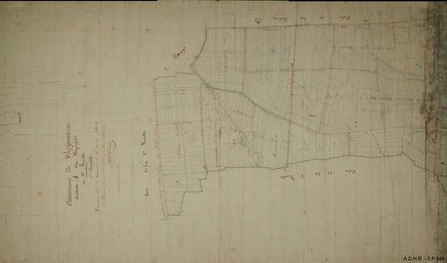 Section A