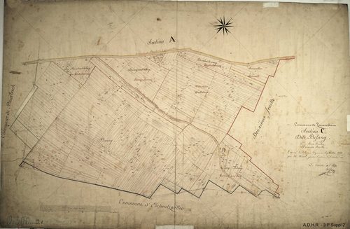 Section C