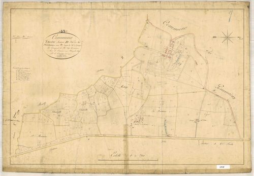 Section D dite de la Fontaine, feuille unique (parcelles 1-239).