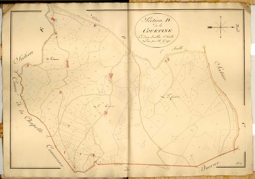 Section D dite la Courtine, feuille n°1 (parcelles 1-317).