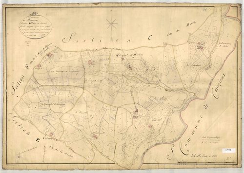 Section D dite de Serivol, feuille unique (parcelles 1-538).