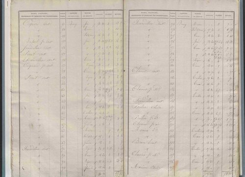 État de sections.