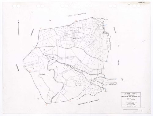 Section C dite du Haut de Blacé 1ère feuille. Plan révisé pour 1940. Edition à jour pour 1983.