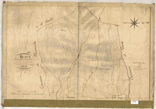 Section C dite du Haut de Blacé, feuille n°1 (parcelles 1-207).