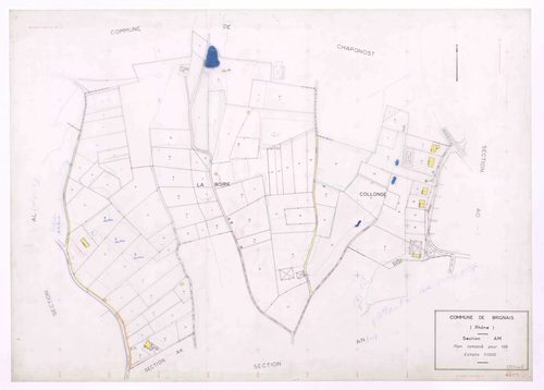 Section AM.