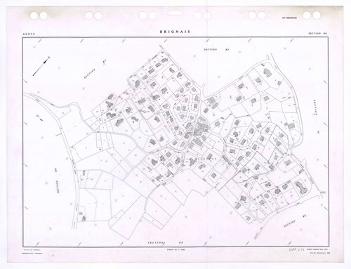 Section BR. Feuille remaniée pour 1988.