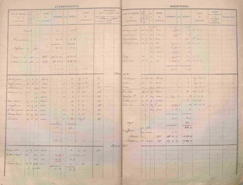 État de sections et matrice des propriétés foncières.