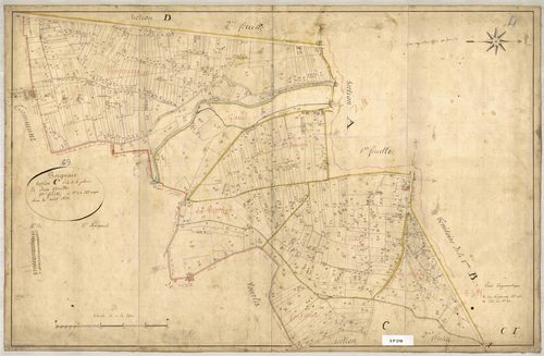 Section C dite de la Plaine, feuille n°1 (parcelles 1-545).