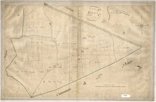 Section C dite du Rebufeu et du Petit-Parilly, feuille unique.