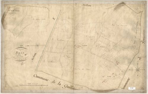 Section D dite des Aissards et du Grand-Parilly, feuille unique.