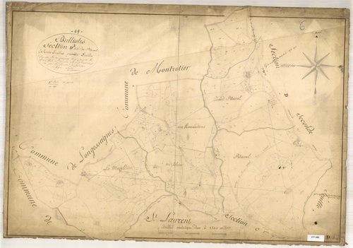 Section D dite du Pitaval, feuille n°1 (parcelles 1-228).