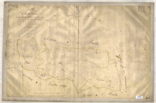 Section D dite du Pitaval, feuille n°3 (parcelles 484-755).