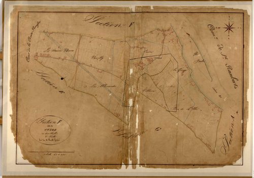 Section F dite de Cuire, feuille n°2 (parcelles 163-683) : exemplaire communal.