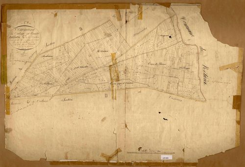 Section C dite de la Verdure, feuille unique (parcelles 1-495).