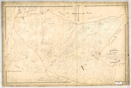 Section C dite des Gonons et des Chapuis, feuille n°1 (parcelles 1-460).