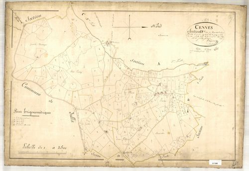 Section D dite de Rousset, feuille n°1 (parcelles 1-310).