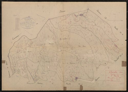 Section C dite du Peigneaux 2e feuille. Plan révisé pour 1937.